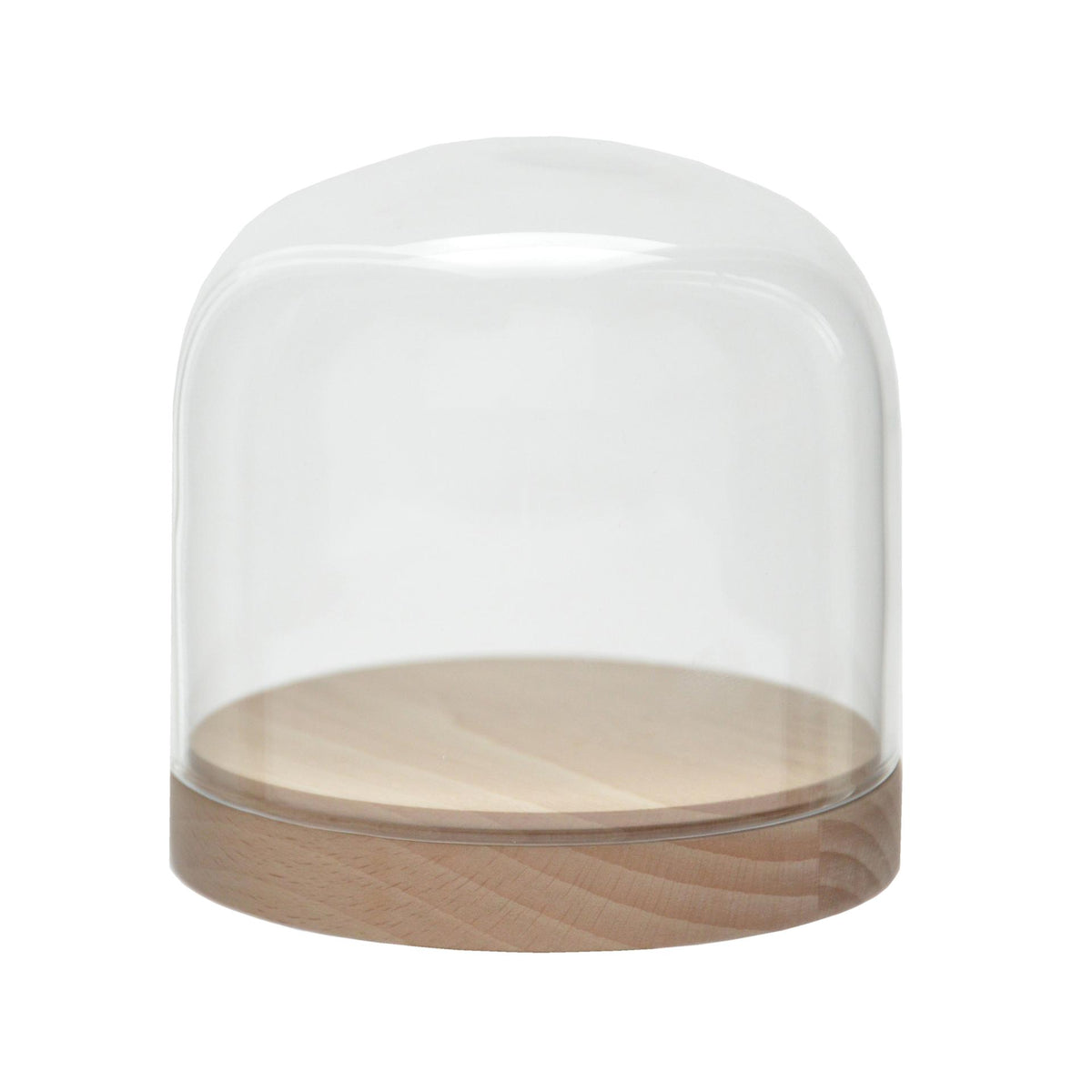 pleasure dome - beech