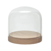 pleasure dome - beech