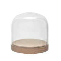 pleasure dome - beech