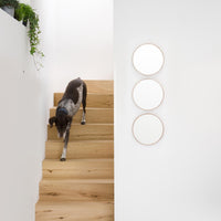 Wall mirror 'Glance' 310 oak